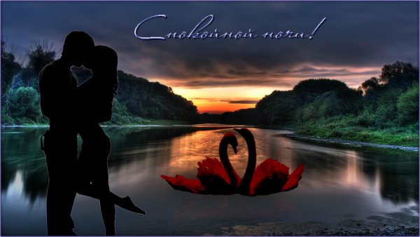 Спокойной ночи сладких снов