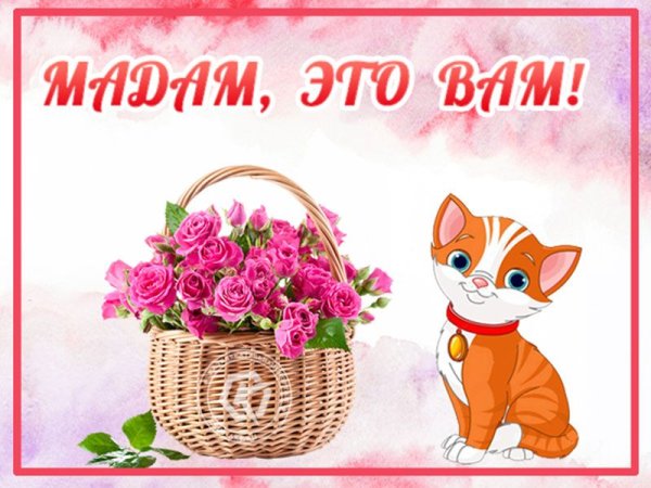 Открытки все