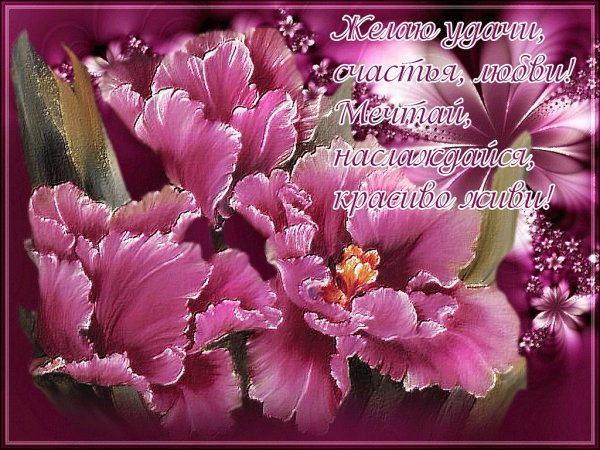 Пожелания здоровья и благополучия