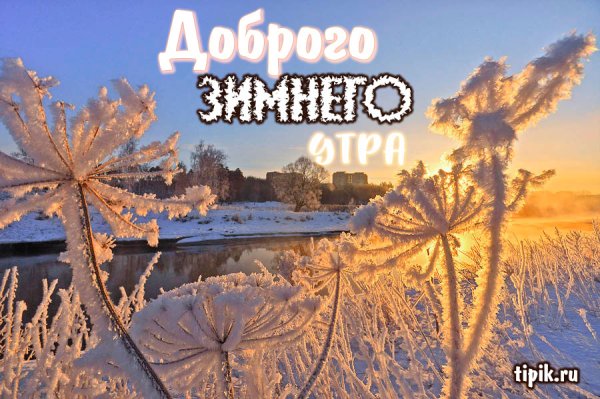 Доброе зимнее утро