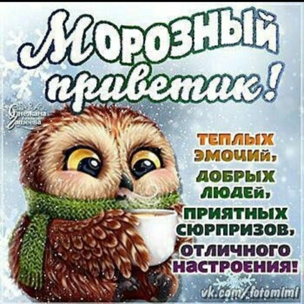 Шутки про декабрь