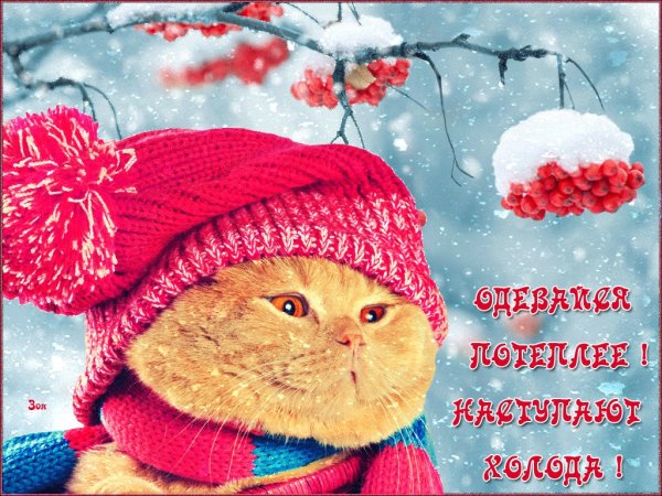 Доброе морозное утро хорошего дня прикольные