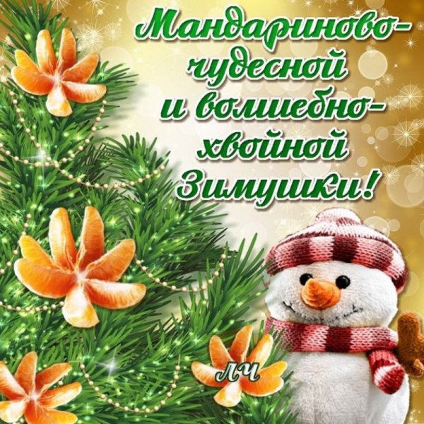 Чудесной зимы и отличного настроения