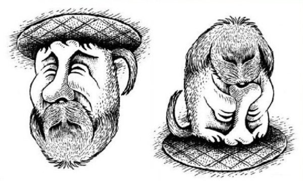 Картинки перевертыши