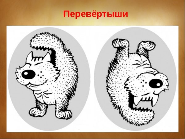 Обман зрения перевертыши