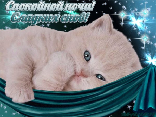 Спокойной ночи