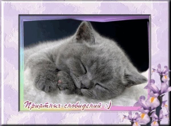 Сладеньких снов