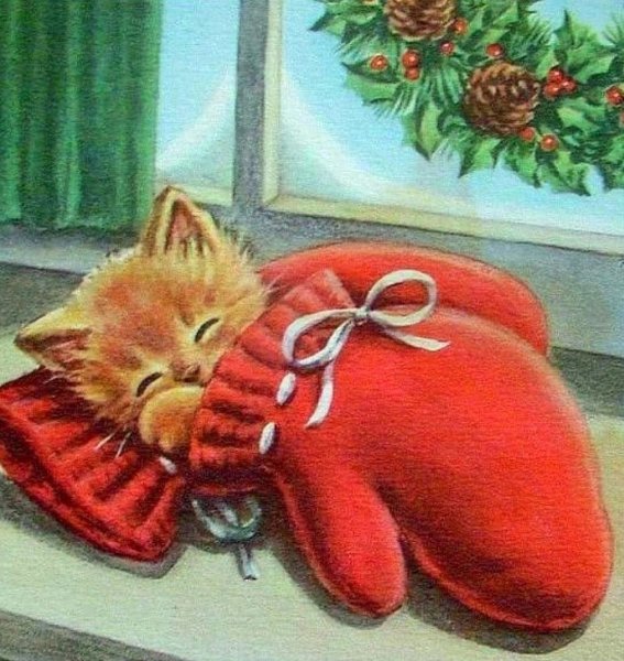 Спокойной ночи котик