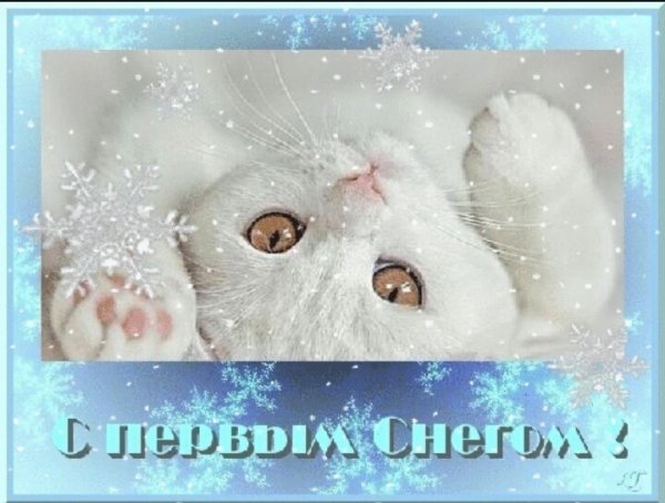 Поздравление с первым снегом