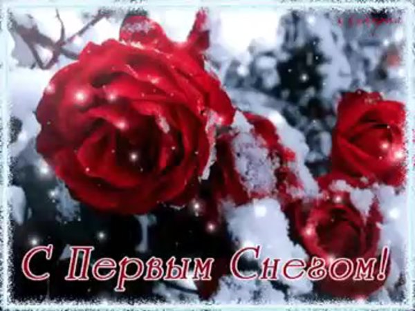 Веселые поздравления с первым снегом