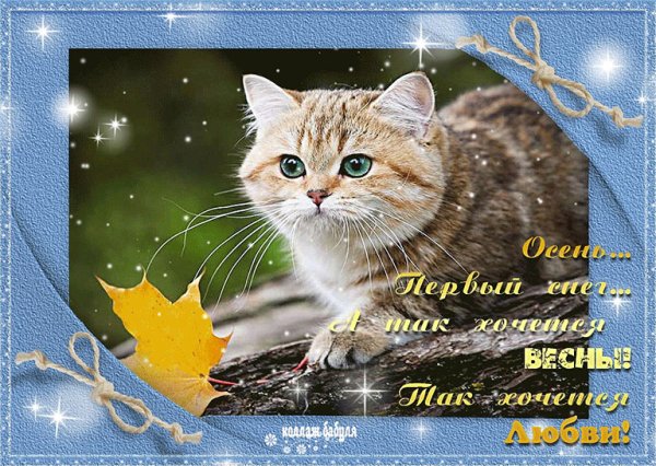 Поздравления на снегу