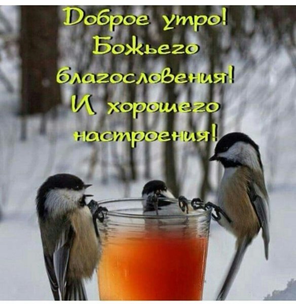 Пожелания доброго зимнего утра