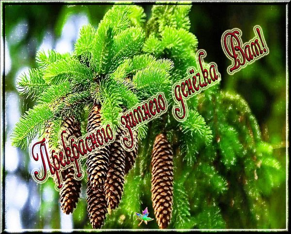 Хорошего зимнего дня и отличного настроения