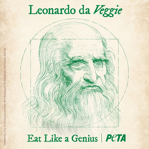 Леонардо да Винчи Минимализм зеленые