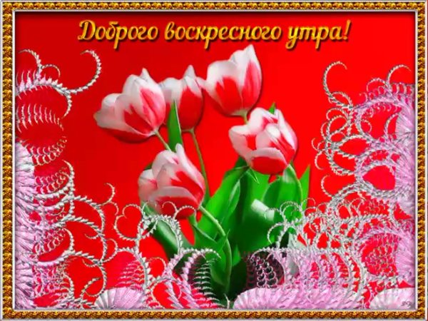 С добрым воскресным утром