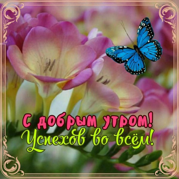 Калбимда Сенсан