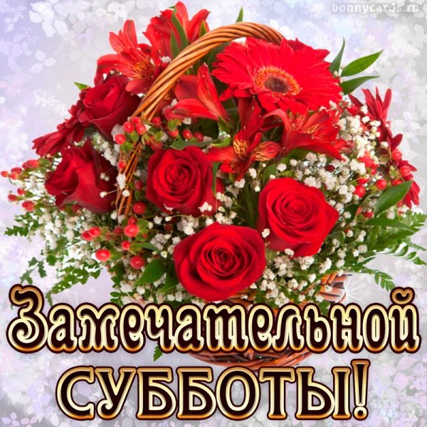 Прекрасного субботнего дня