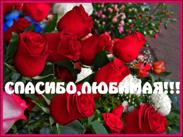 Спасибо любимая