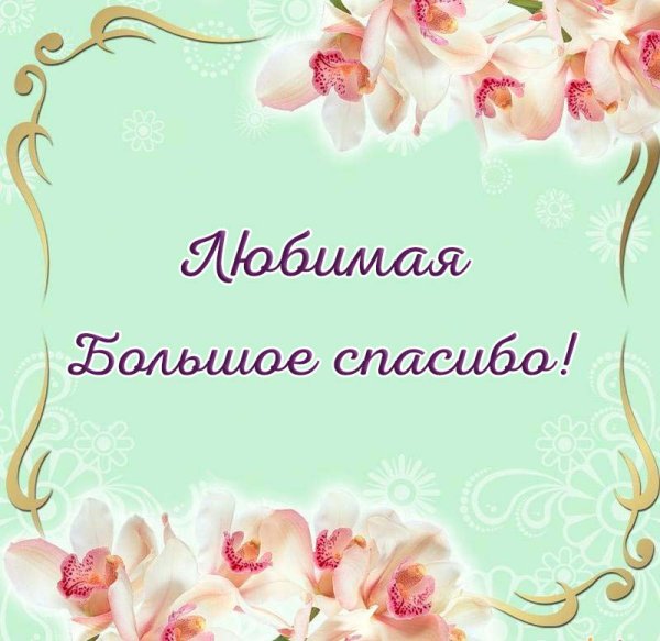 Спасибо мужу за поздравления