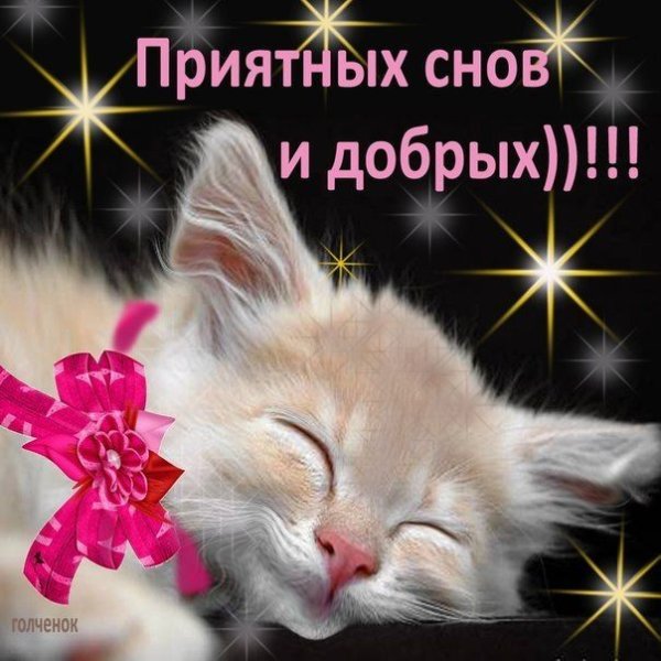 Споки ноки сладких снов