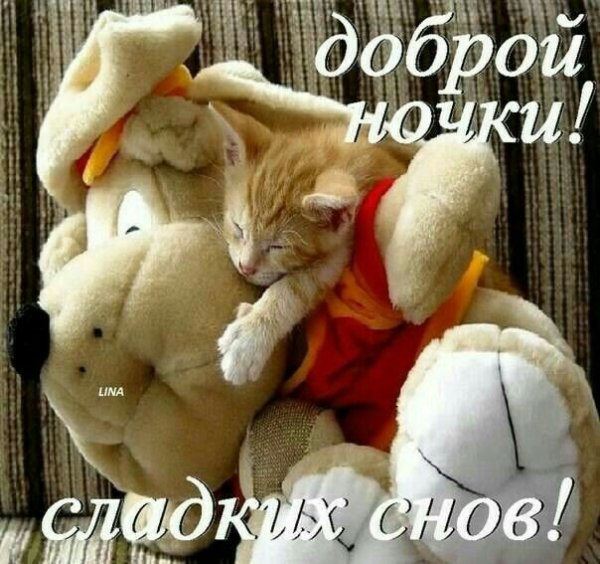 Доброй ночи милая