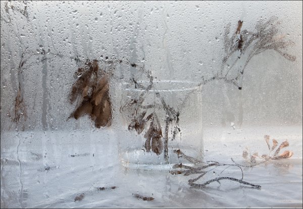 Мокрый снег за окном