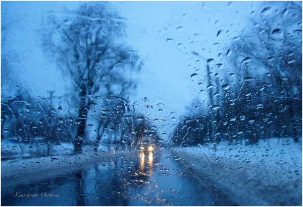 Дождик зимой