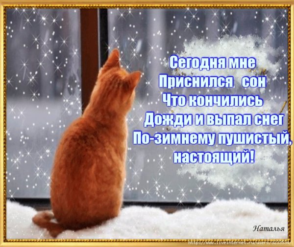 Добро утро зима пришла