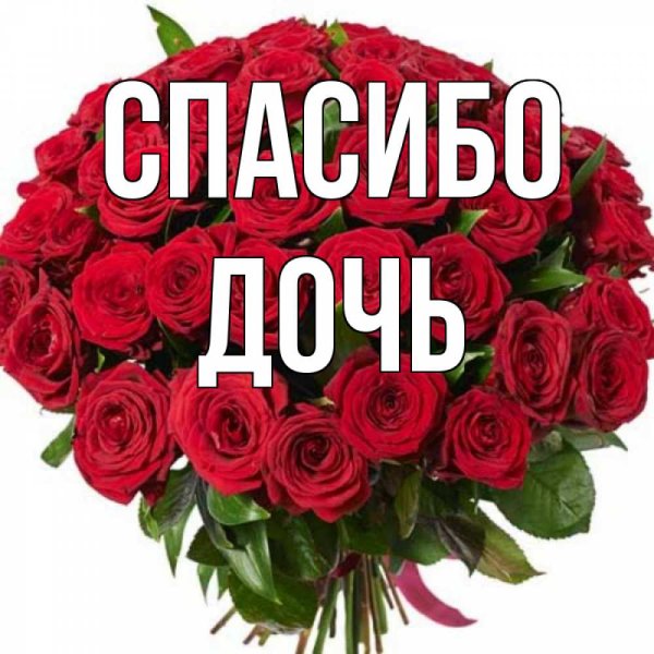 Спасибо доченька