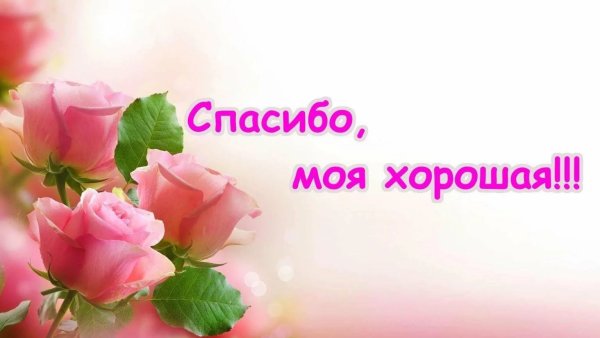 Спасибо моя дорогая