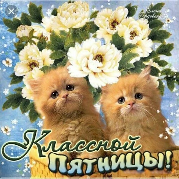 С пятницей хороших выходных