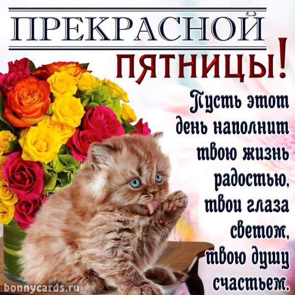 Открытки с пятницей