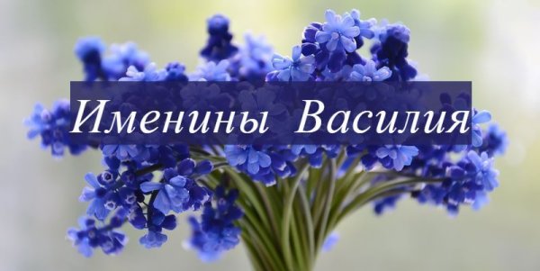 Именины Василия