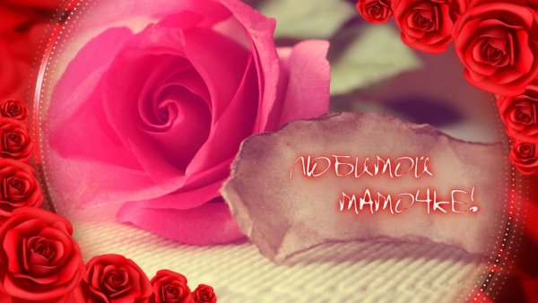 Любовь мамы