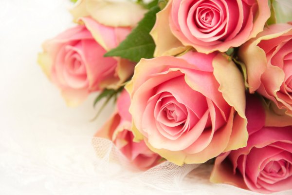 Открытки с розами