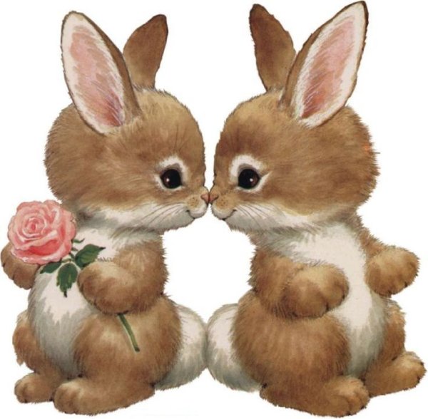 Влюбленные зайчики