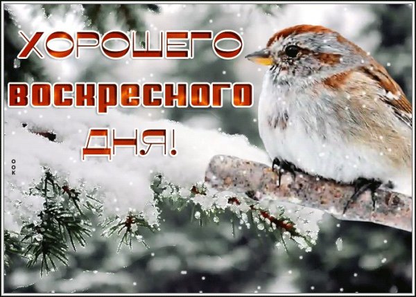 Хорошего зимнего воскресенья