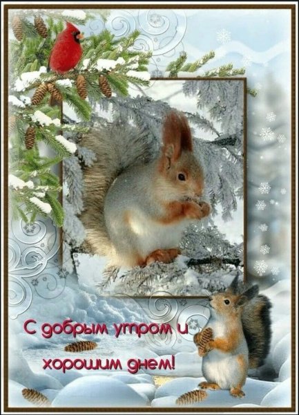 Зимние поздравления с добрым утром