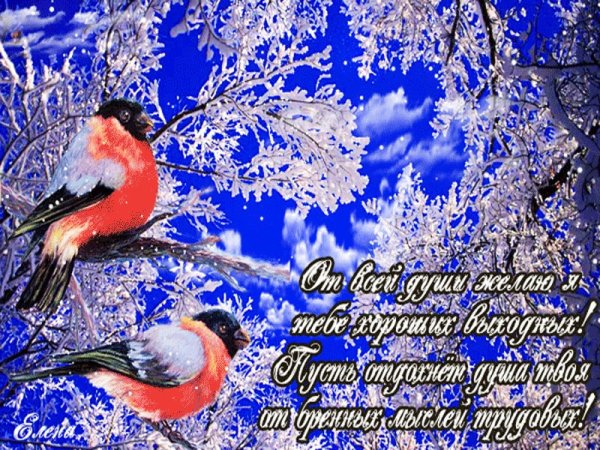 Красивые пожелания с добрым зимним днем