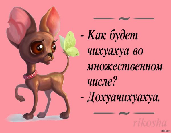 Позитивчик в картинках с юмором