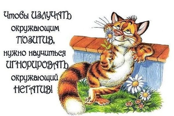 Позитивные высказывания для поднятия настроения