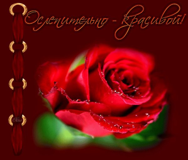 Открытка любимой девушке