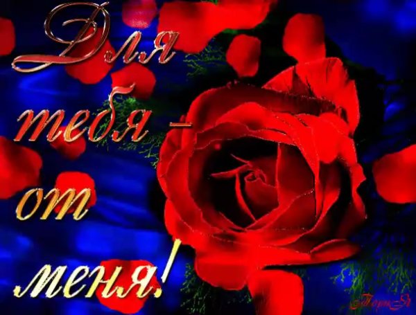 Любимой женщине анимация