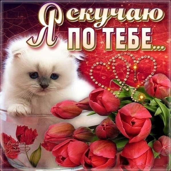 Красивые открытки для любимой девушки