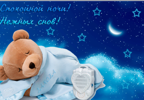 Мишка желает спокойной ночи