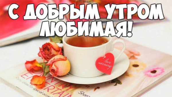 Доброе утро красавица