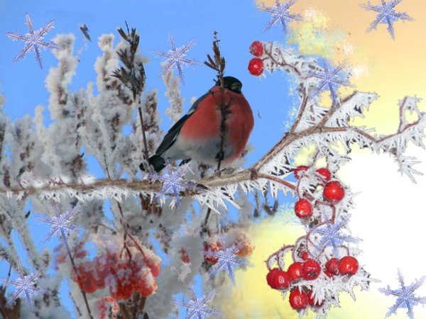 Снегири зимой новогодний