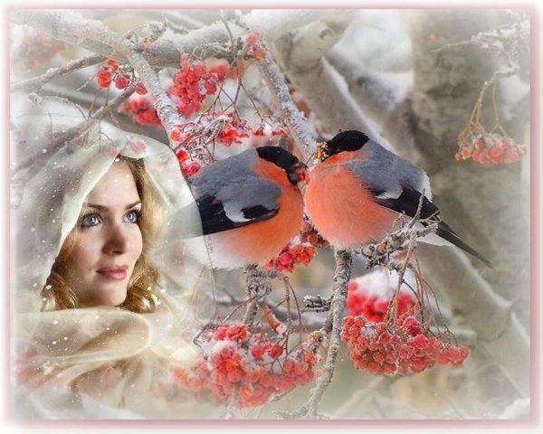 Зима девушка рябина