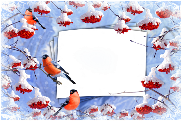 Зимняя рамка