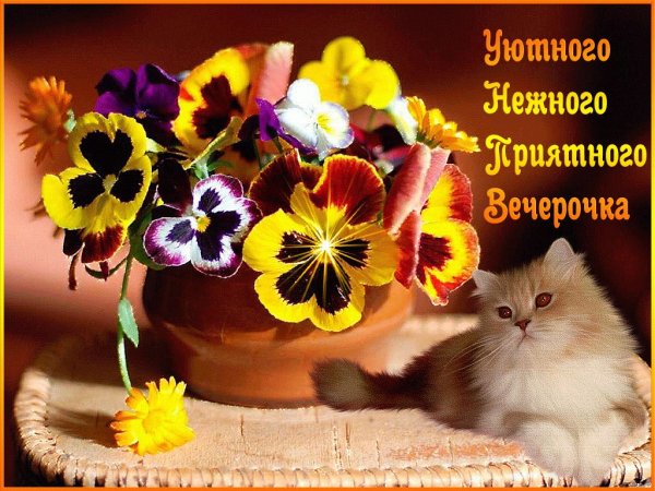 Доброго дня и хорошего вечера